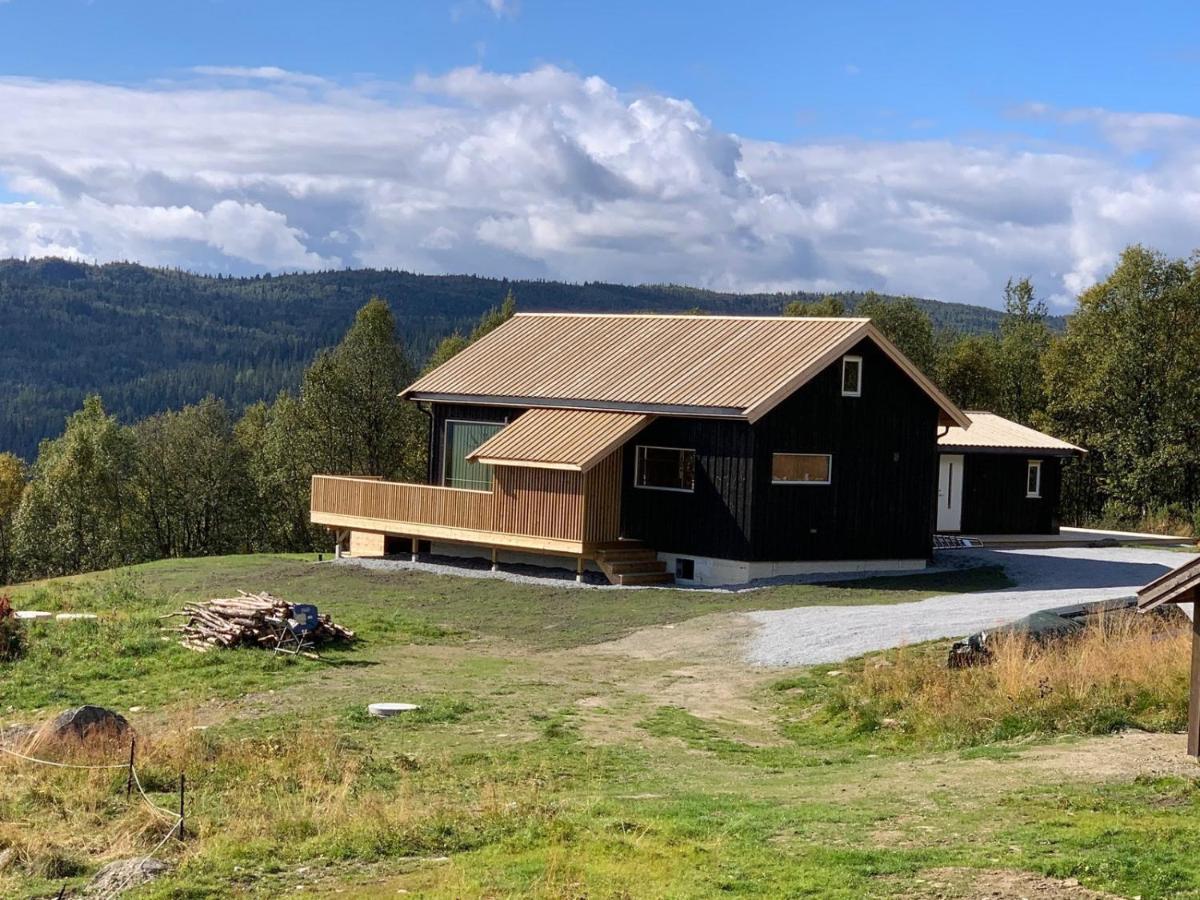 Na Er Vinteren Kommet Til Hallingdal Al Exteriér fotografie