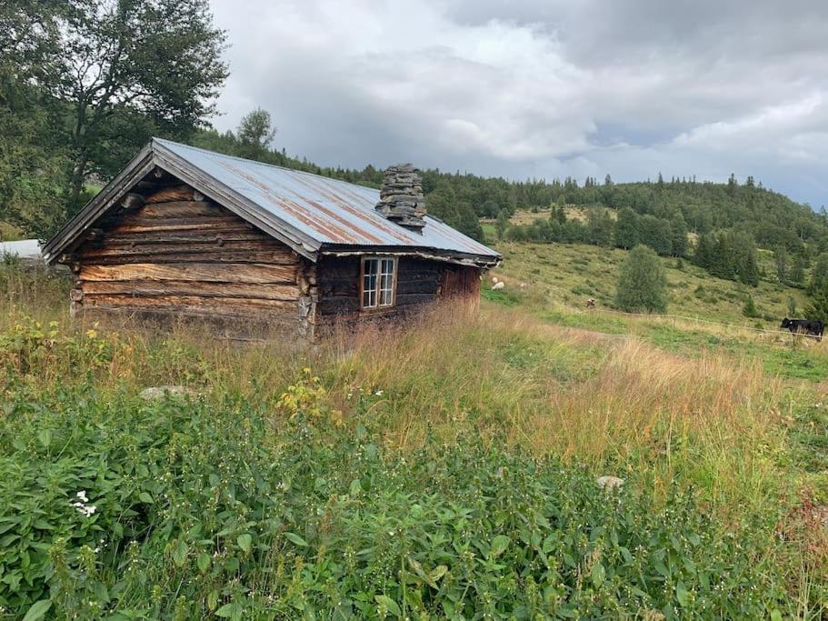 Na Er Vinteren Kommet Til Hallingdal Al Exteriér fotografie