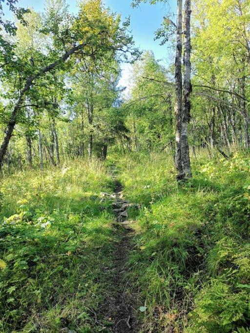 Na Er Vinteren Kommet Til Hallingdal Al Exteriér fotografie