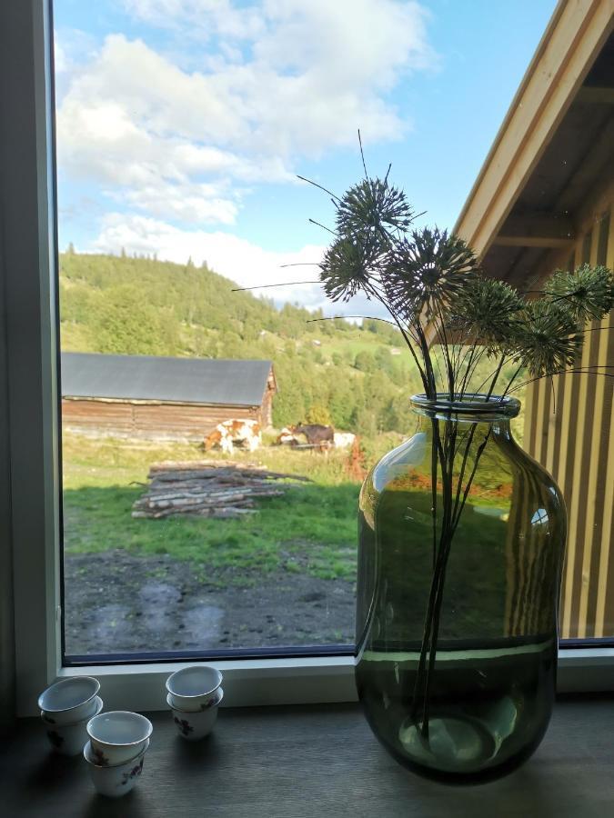 Na Er Vinteren Kommet Til Hallingdal Al Exteriér fotografie