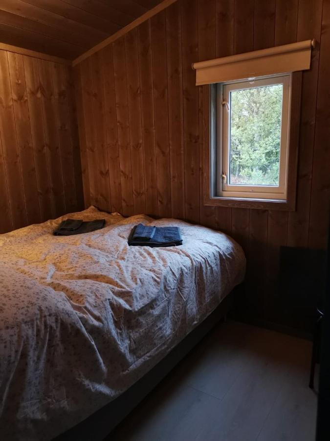 Na Er Vinteren Kommet Til Hallingdal Al Exteriér fotografie