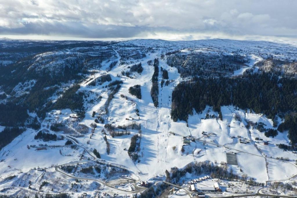 Na Er Vinteren Kommet Til Hallingdal Al Exteriér fotografie