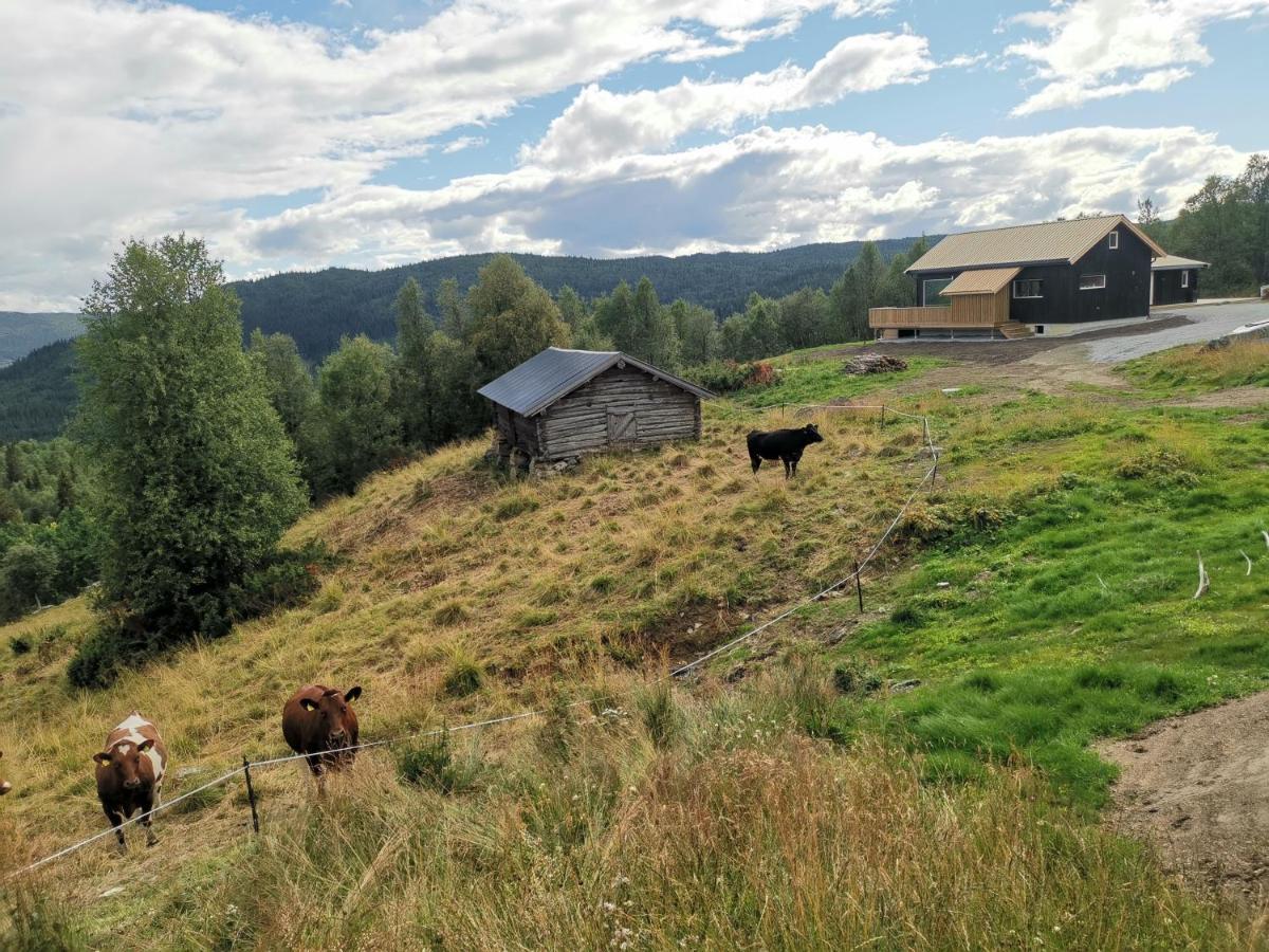 Na Er Vinteren Kommet Til Hallingdal Al Exteriér fotografie