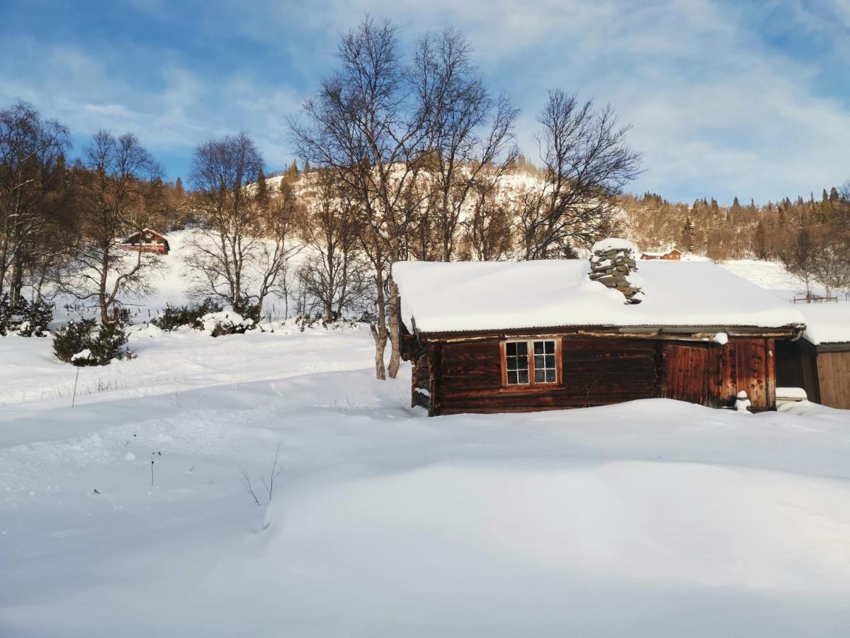 Na Er Vinteren Kommet Til Hallingdal Al Exteriér fotografie
