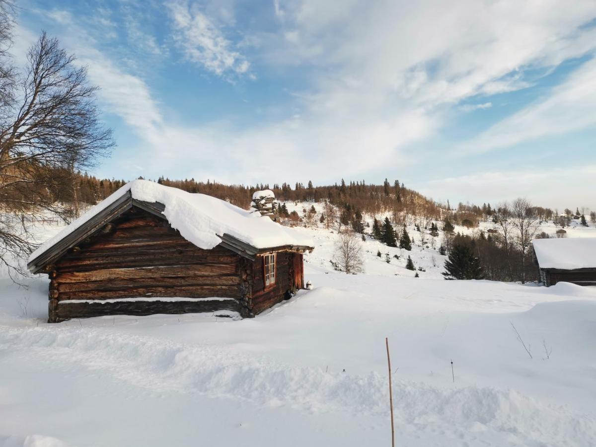 Na Er Vinteren Kommet Til Hallingdal Al Exteriér fotografie