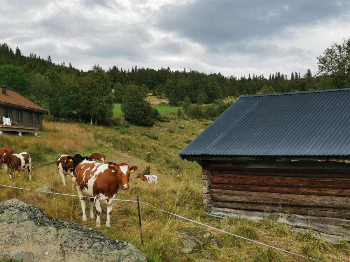 Na Er Vinteren Kommet Til Hallingdal Al Exteriér fotografie